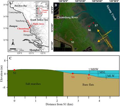 The Role of Surges During Periods of Very Shallow Water on Sediment Transport Over Tidal Flats